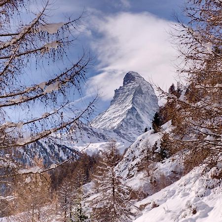 Chalet Zen Zermatt, 100M From Ski Lift And Piste Exterior photo